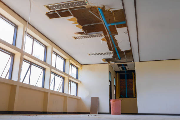 Best Water damage cleanup near me  in Suisun City, CA