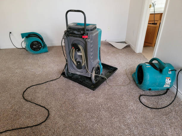 Best Water damage restoration near me  in Suisun City, CA