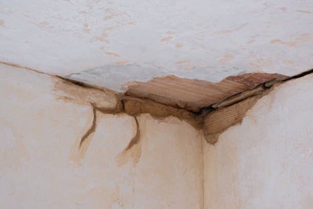 Best 24-hour water damage restoration  in Suisun City, CA