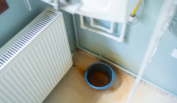 Best Professional water damage repair  in Suisun City, CA