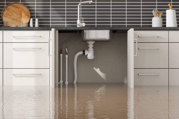 Best Flood restoration services  in Suisun City, CA